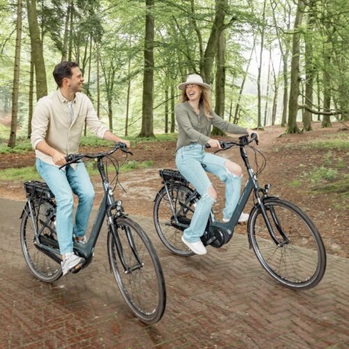 2.E-Bike-fiets-Natures-Gift-1-persoon-veluwe-actief-uitje-in-de-natuur-groen-sportief-vrienden-belevenis-fietsen