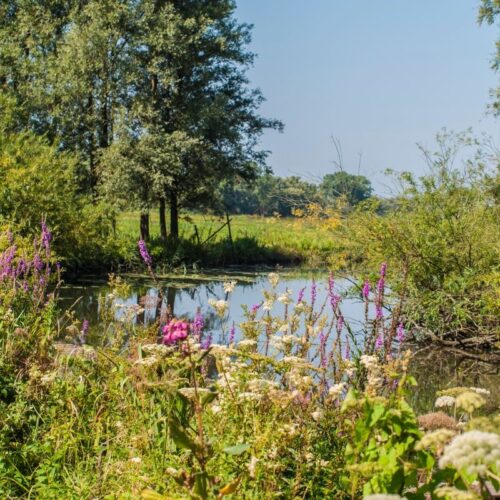 2verrassend-avontuur-zuid-holland-naturesgift-doenkado