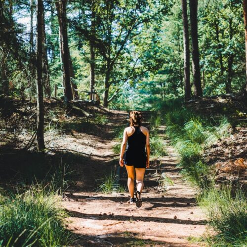 3.Avontuur-Dichtbij-natures-gift-duurzaam-cadeau-sustainable-gift-card-duurzaamheid-natuur-geschenk-gifts-impact-@TheHike
