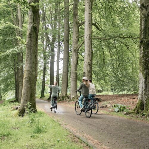 3.E-Bike-fiets-Natures-Gift-1-persoon-veluwe-actief-uitje-in-de-natuur-groen-sportief-vrienden-belevenis-fietsen