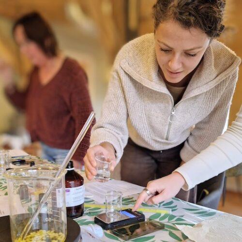 Pocketfullofgreens_Workshop_NatuurlijkeCosmetica3