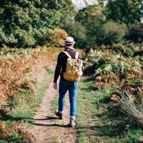 Wandeling kasteel essenburgh natuur geneeskracht veluwetrack