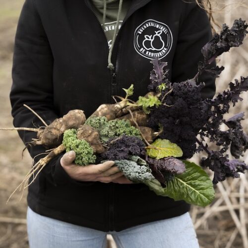 doenkado-natures-gift-cadeau-belevenis-eropuit-boerderijwinkel-de-kruisbrink2