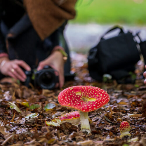 workshop-basisfotografie-doenkado-belevenis-dagjeweg-dagjeuit-cadeau2